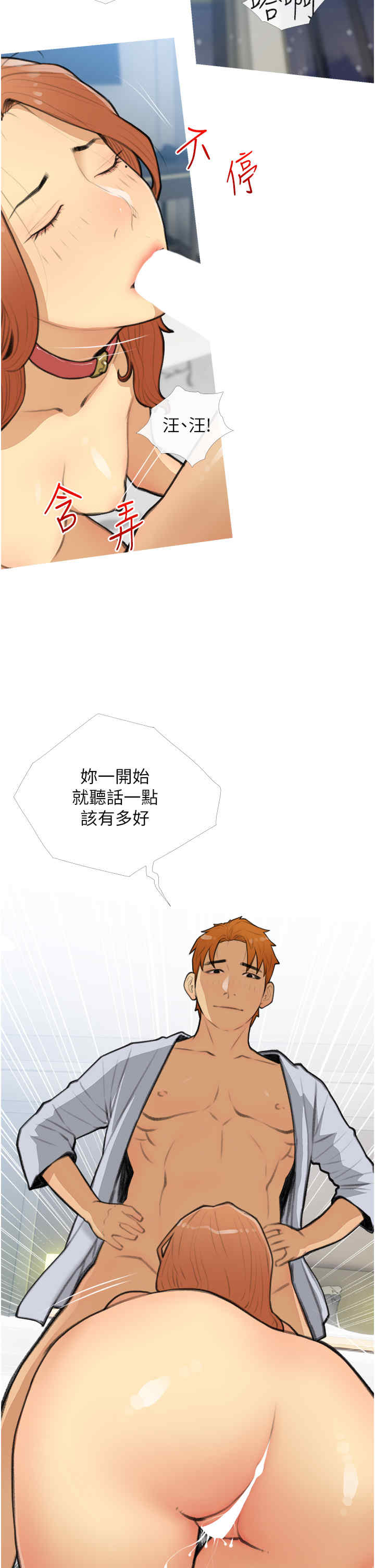 糖果爸爸的抢婚大作战