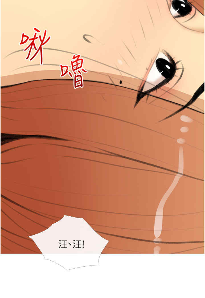 糖果爸爸的抢婚大作战