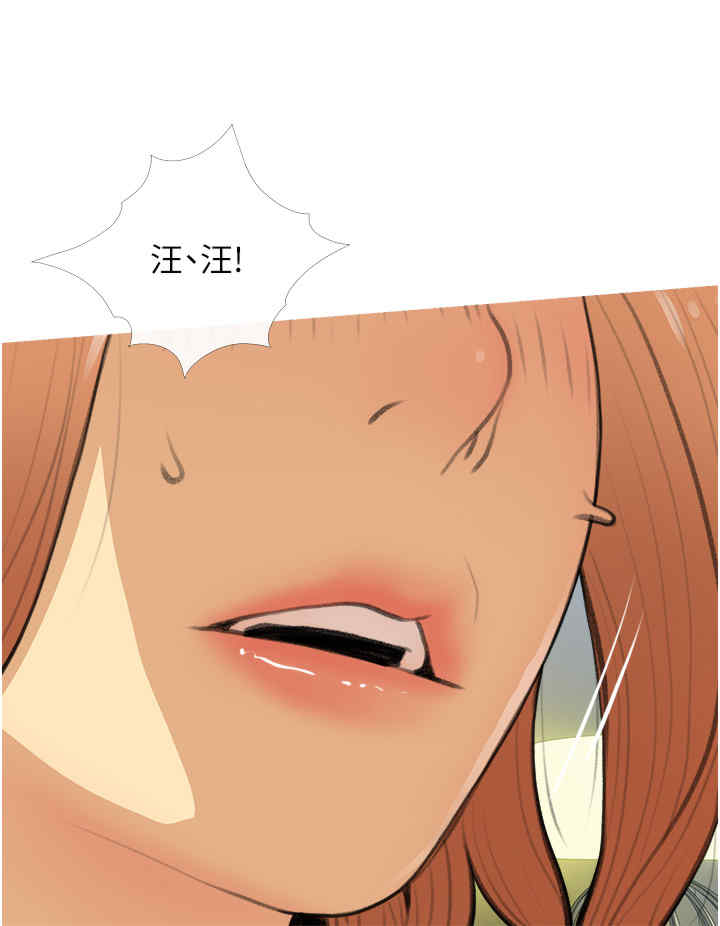 糖果爸爸的抢婚大作战