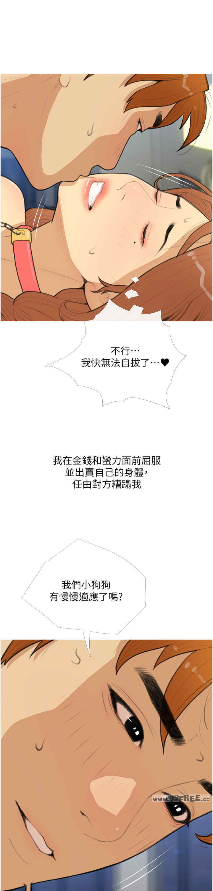 糖果爸爸的抢婚大作战