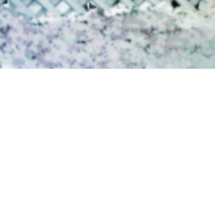 不可抗拒的吸引/放任诱惑