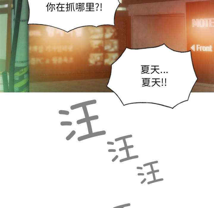 不可抗拒的吸引/放任诱惑