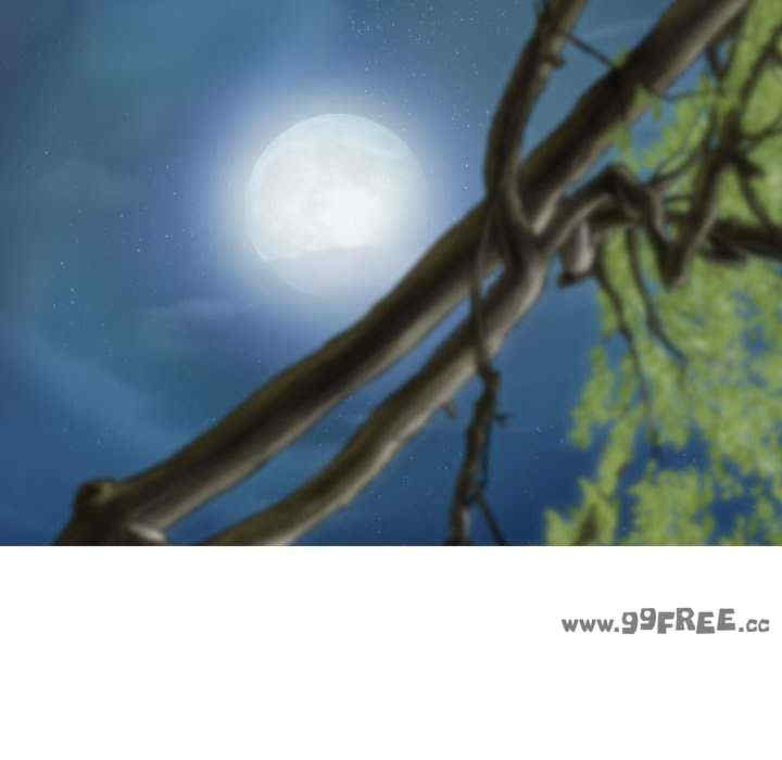 不可抗拒的吸引/放任诱惑