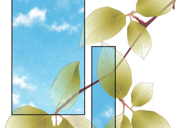 怀孕契约/一份合约追回你