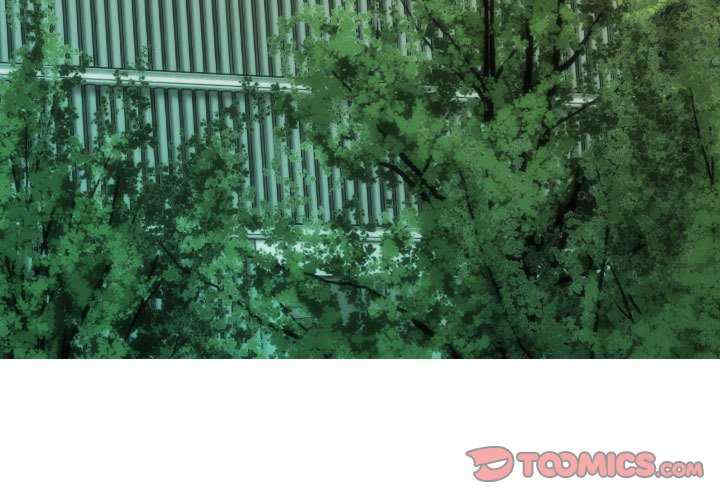 不可抗拒的吸引/放任诱惑