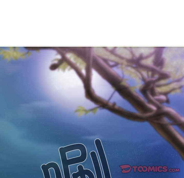 不可抗拒的吸引/放任诱惑