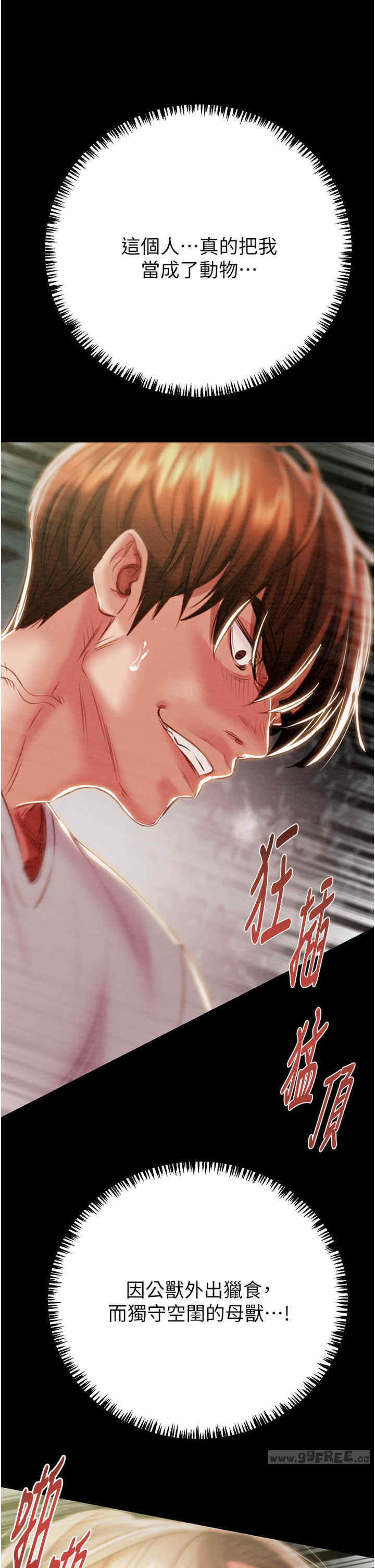 掠夺行动/抢夺的滋味