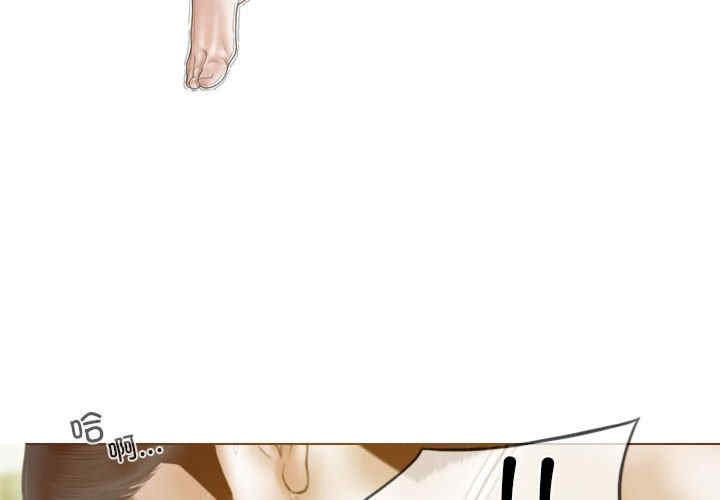 不可抗拒的吸引/放任诱惑