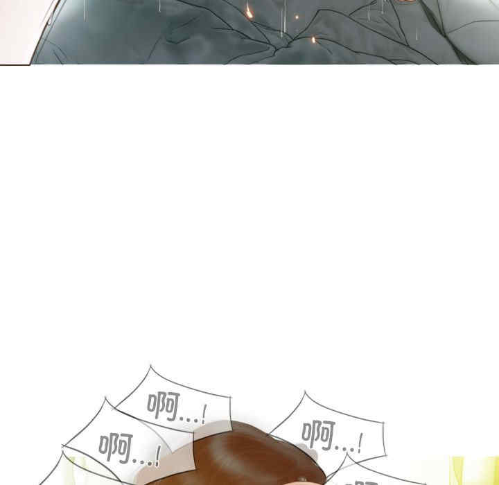 不可抗拒的吸引/放任诱惑