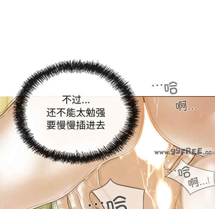 不可抗拒的吸引/放任诱惑