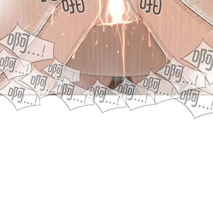 不可抗拒的吸引/放任诱惑