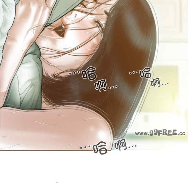 不可抗拒的吸引/放任诱惑