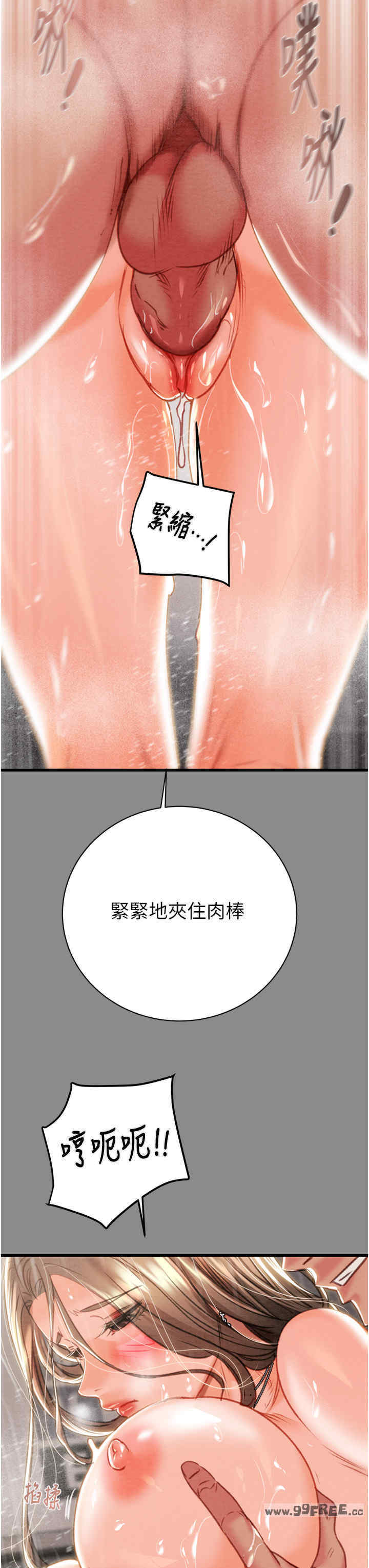 掠夺行动/抢夺的滋味