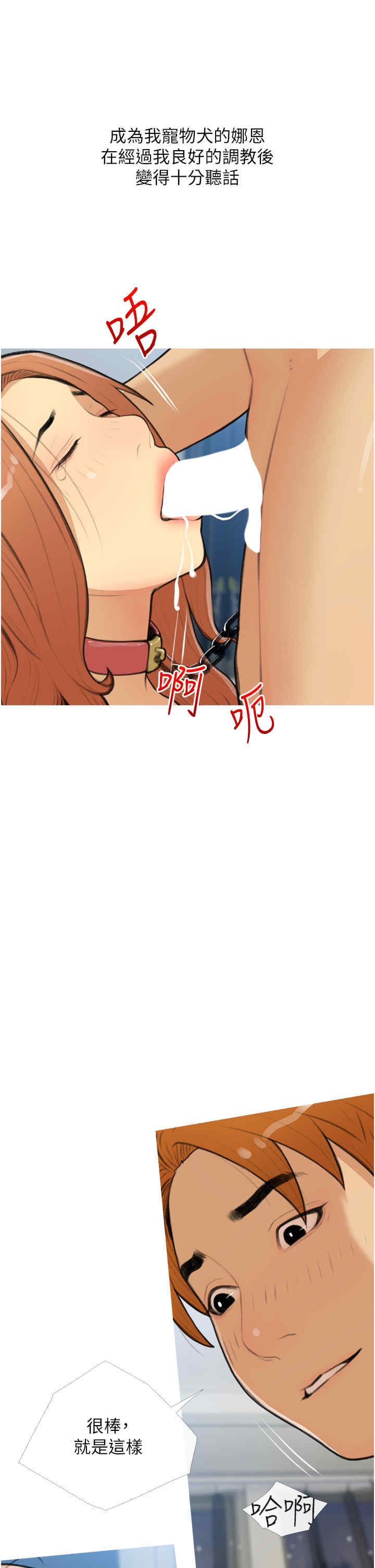 糖果爸爸的抢婚大作战