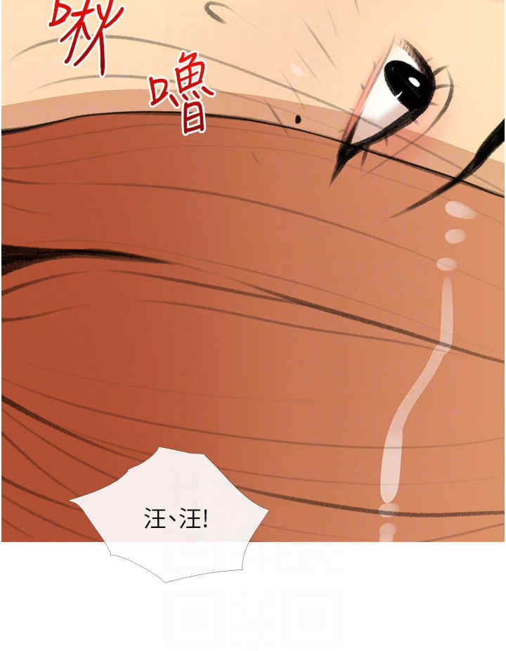 糖果爸爸的抢婚大作战