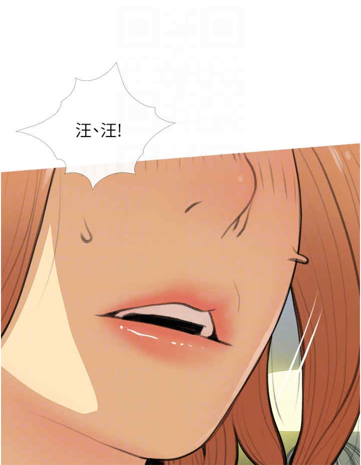 糖果爸爸的抢婚大作战