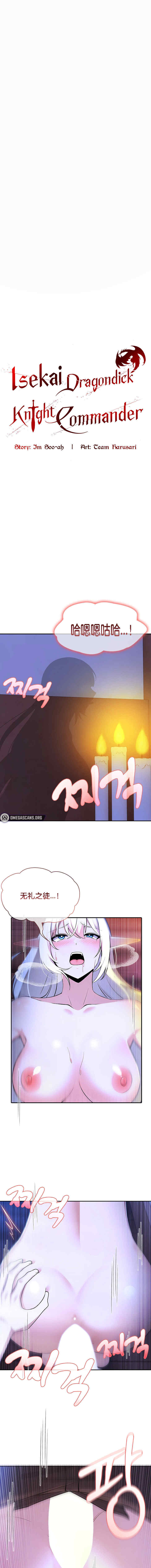 被召唤到异世界，然后成为半龙骑士长