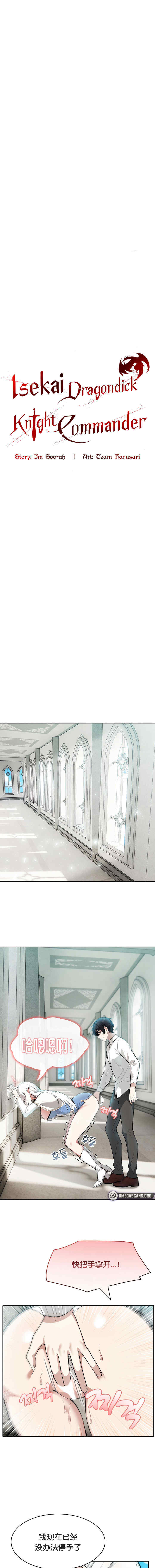 被召唤到异世界，然后成为半龙骑士长