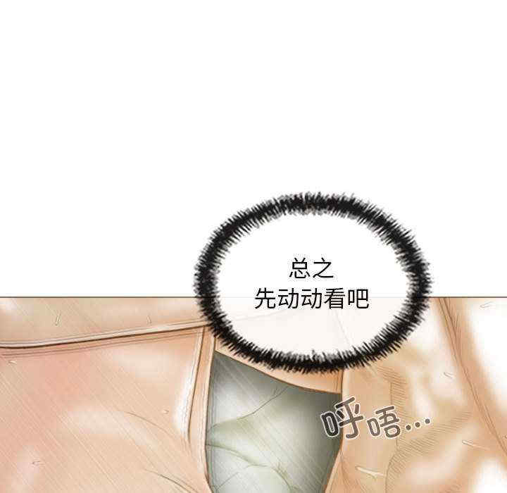 不可抗拒的吸引/放任诱惑