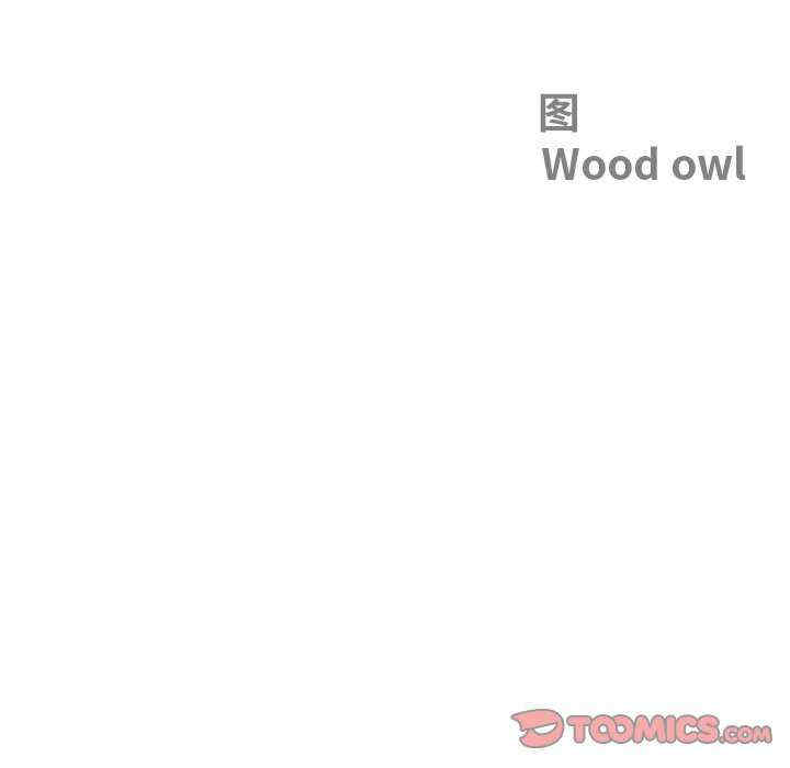 最强男人/天降奇迹