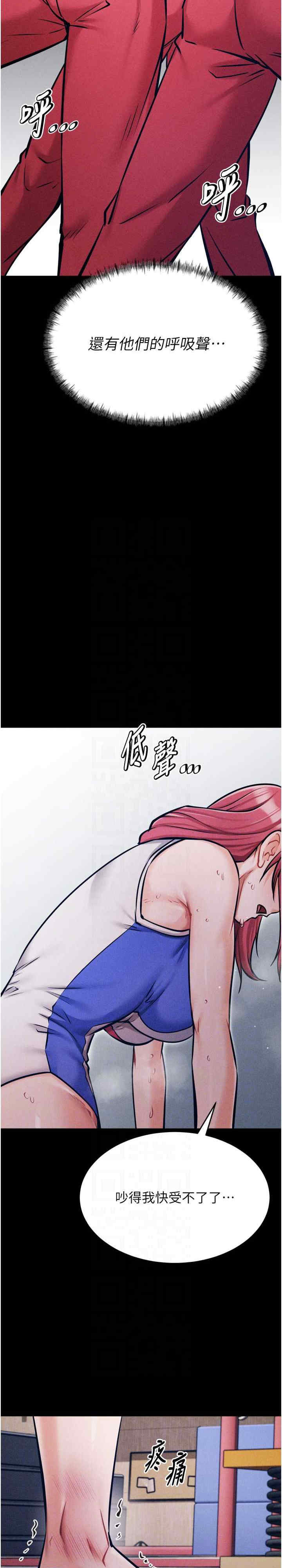 选手村:母猪调教