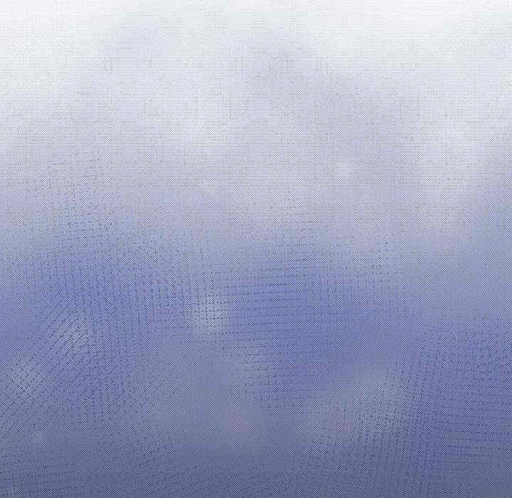 傻瓜病毒/傻傻病毒