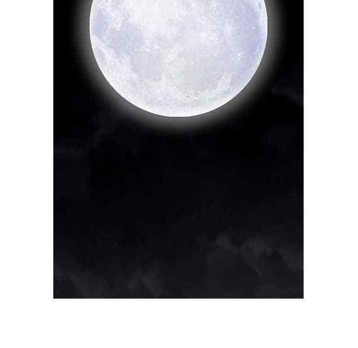 最强男人/天降奇迹