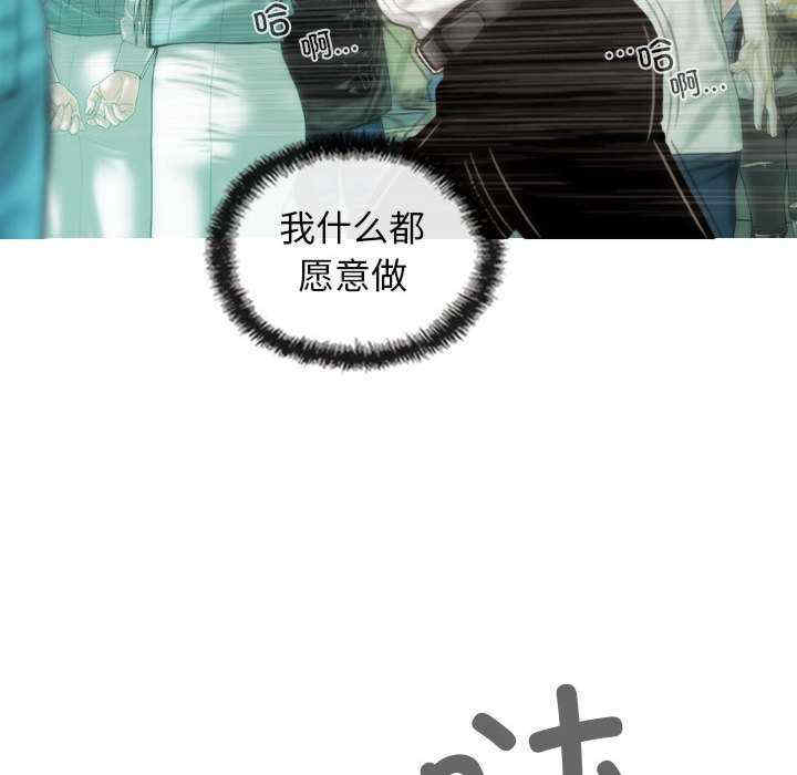 不可抗拒的吸引/放任诱惑