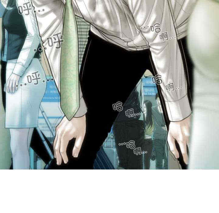 不可抗拒的吸引/放任诱惑