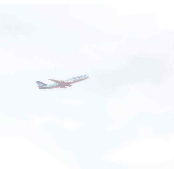 不可抗拒的吸引/放任诱惑