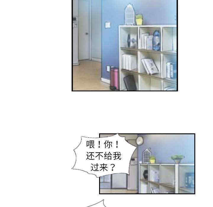 灵魂互换/窃取人生