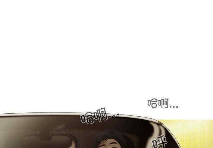 不可抗拒的吸引/放任诱惑