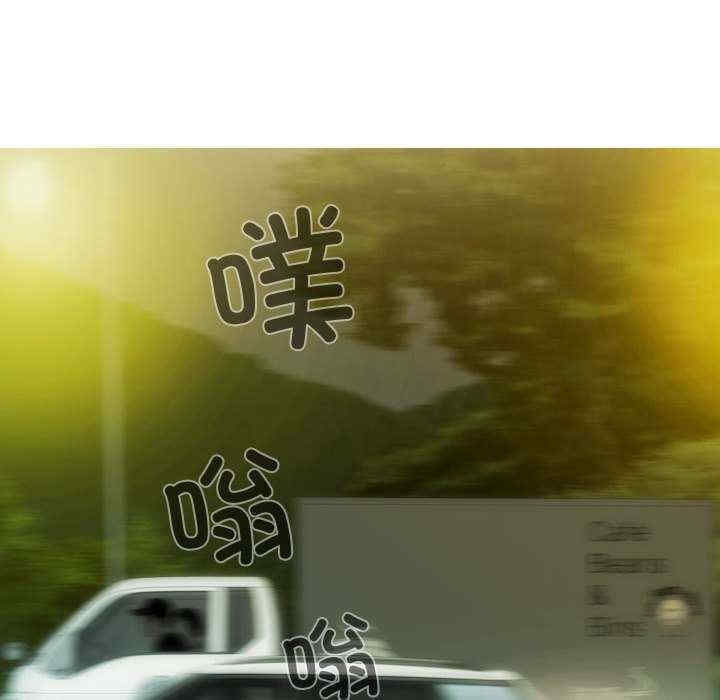 不可抗拒的吸引/放任诱惑