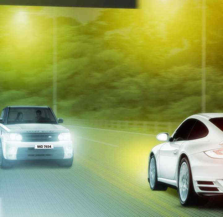 不可抗拒的吸引/放任诱惑