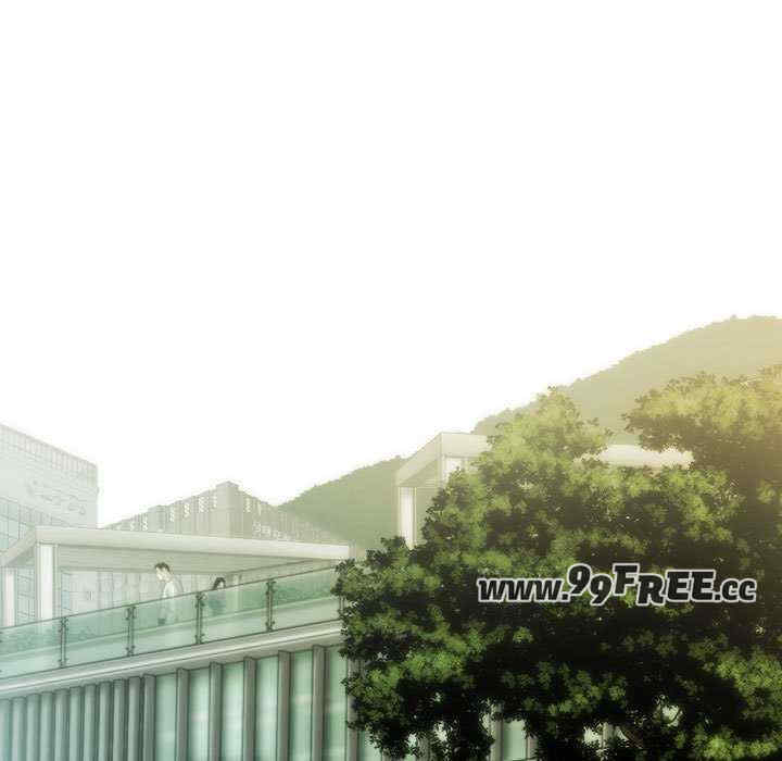 不可抗拒的吸引/放任诱惑