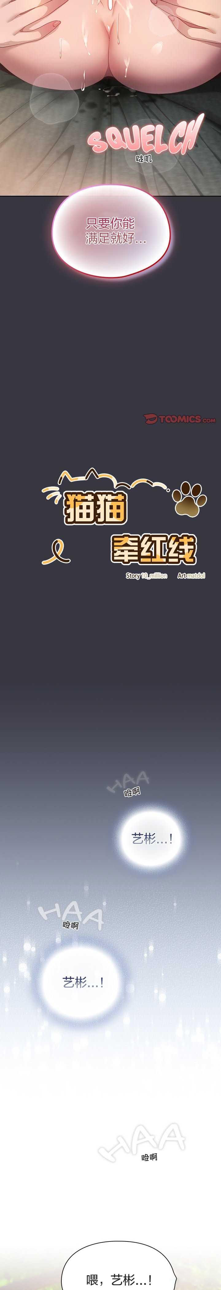 猫猫牵红线/喵来的恋爱