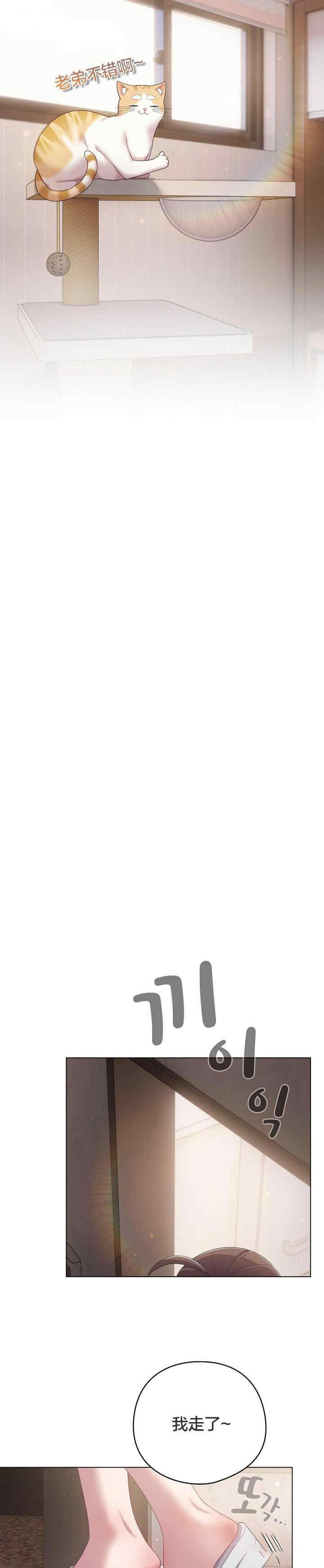 猫猫牵红线/喵来的恋爱