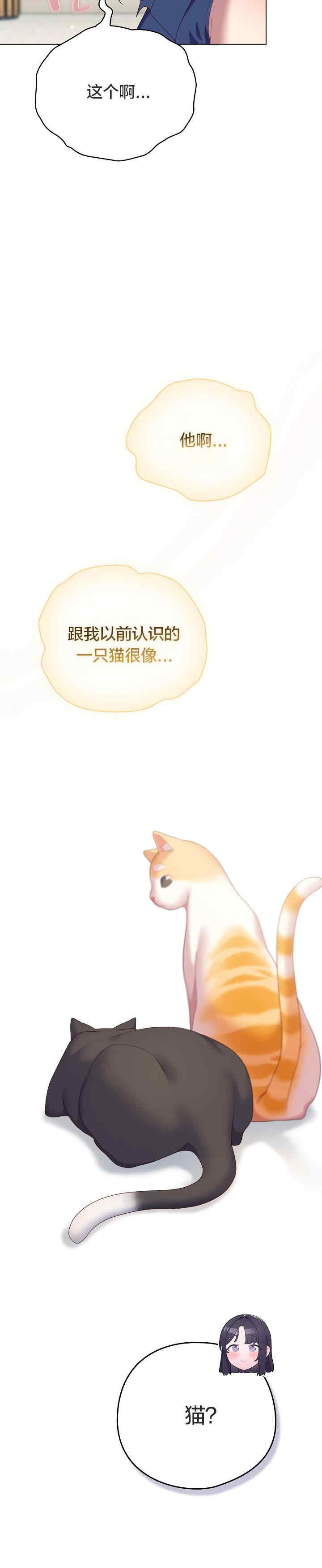 猫猫牵红线/喵来的恋爱