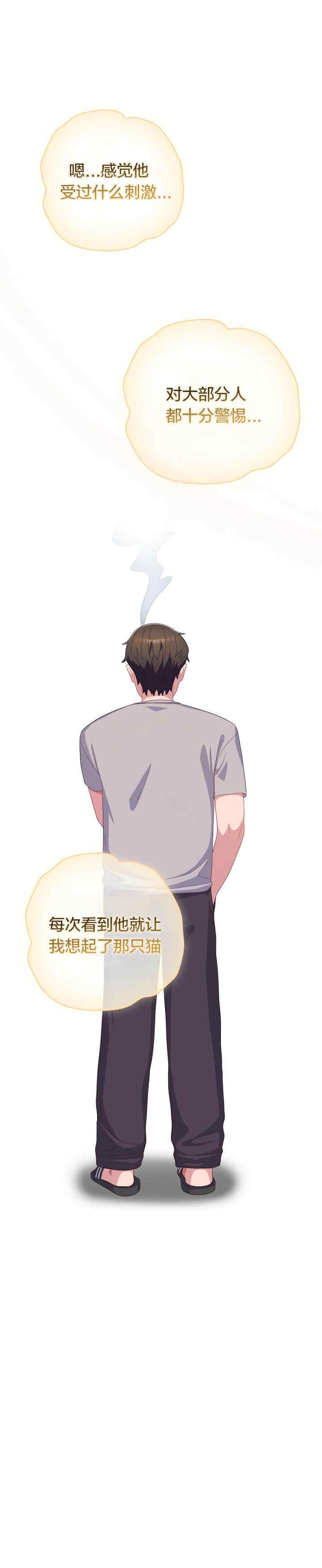 猫猫牵红线/喵来的恋爱