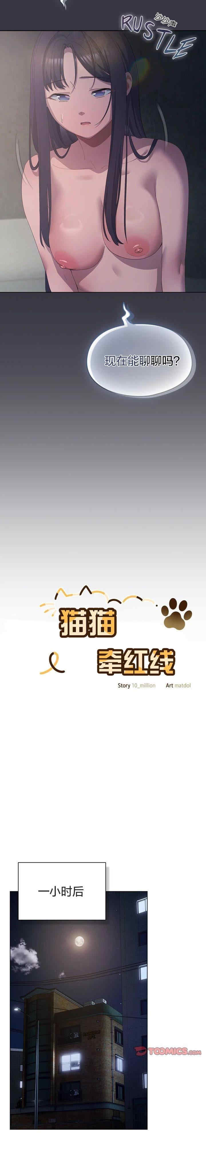 猫猫牵红线/喵来的恋爱