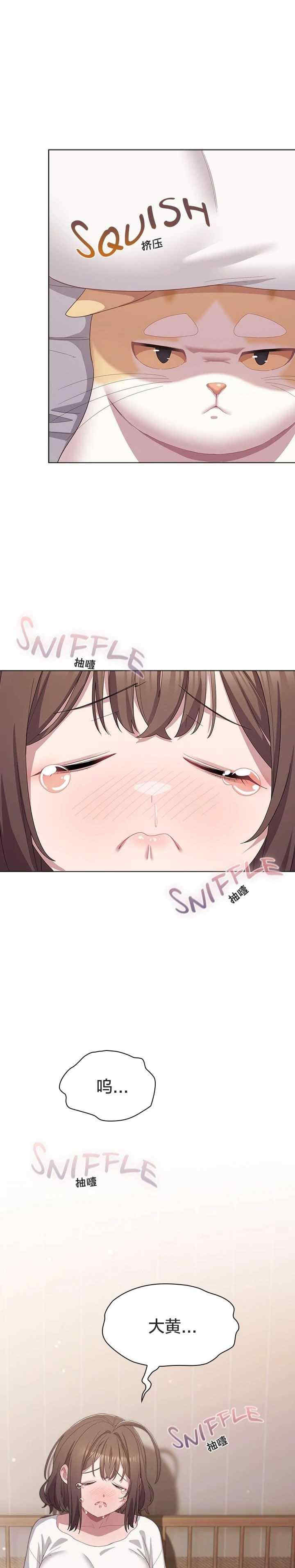 猫猫牵红线/喵来的恋爱