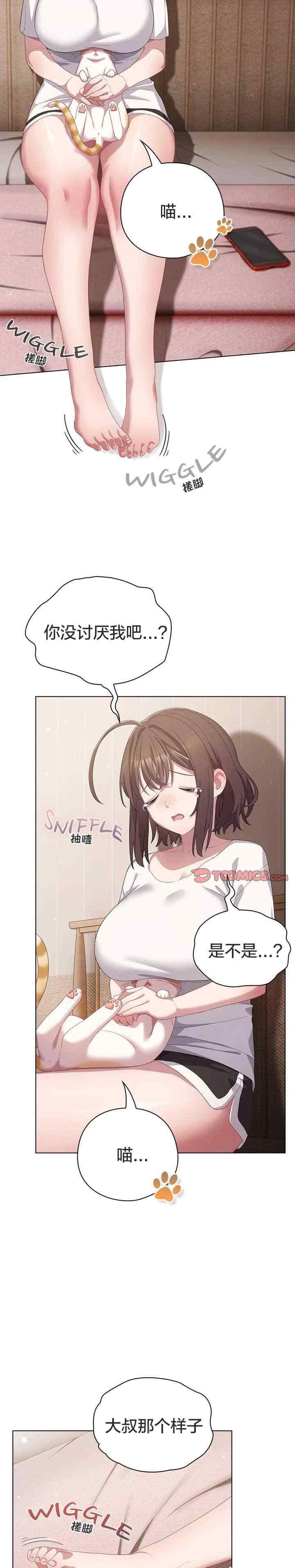 猫猫牵红线/喵来的恋爱