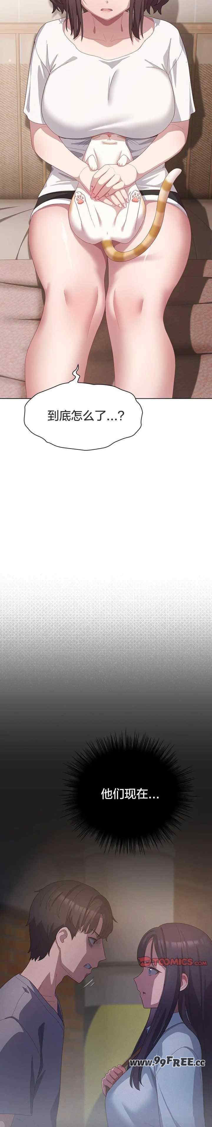 猫猫牵红线/喵来的恋爱