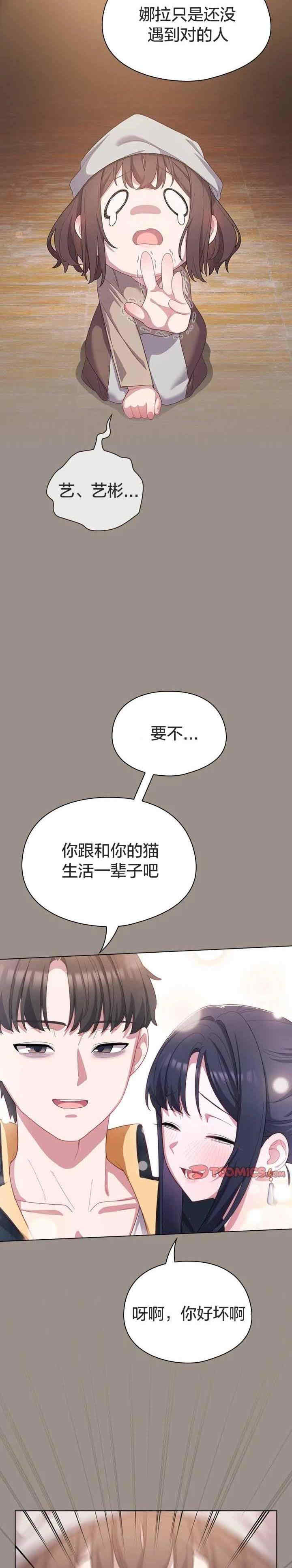 猫猫牵红线/喵来的恋爱