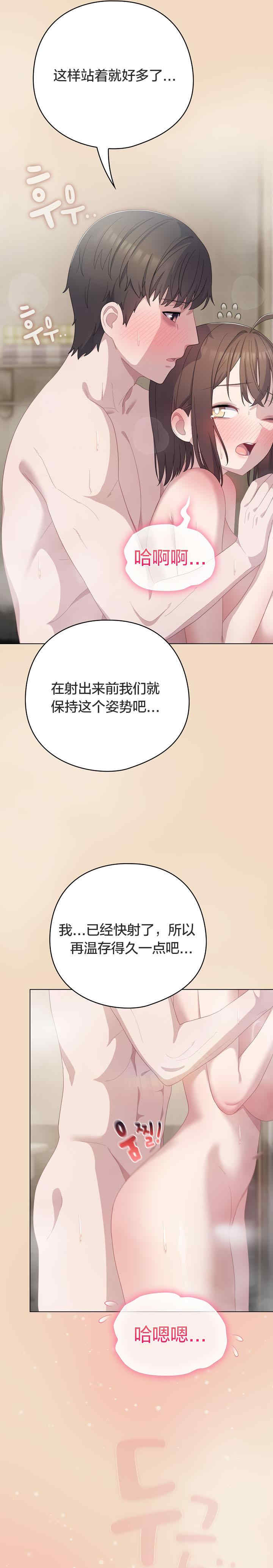 猫猫牵红线/喵来的恋爱