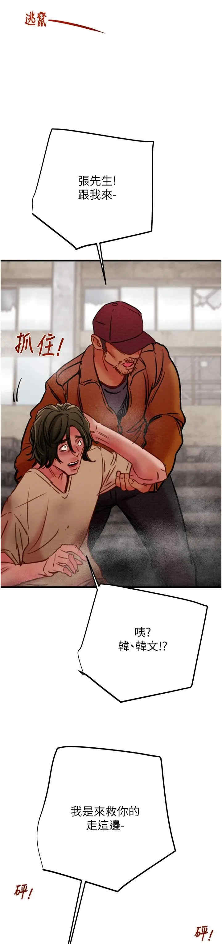 掠夺行动/抢夺的滋味