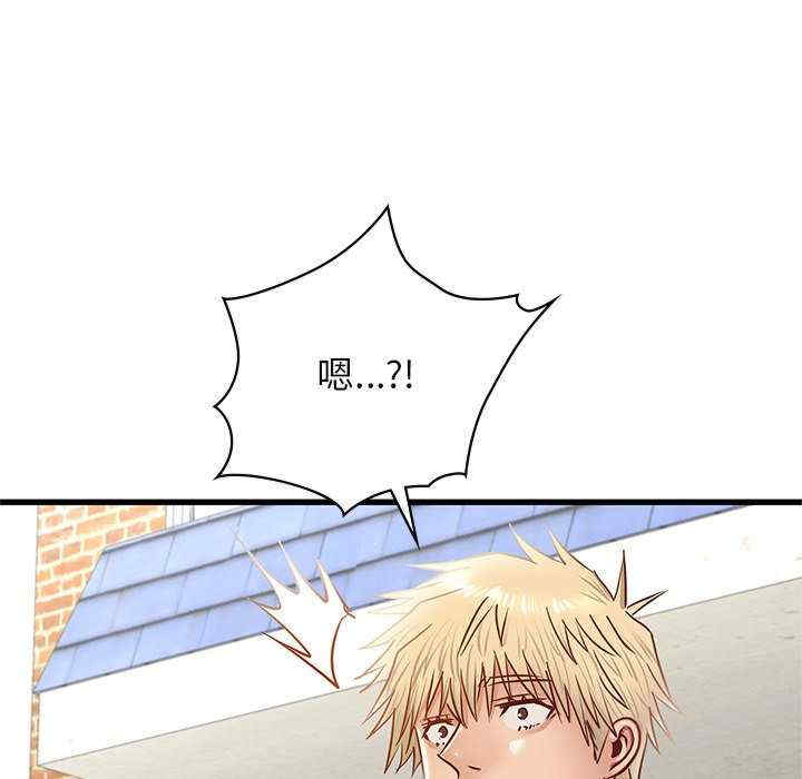 年轻代表/不该爱上你