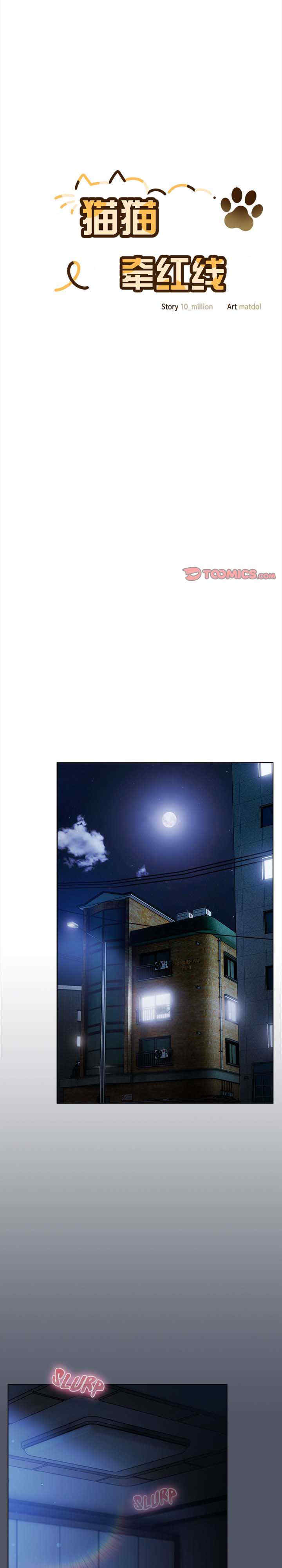 猫猫牵红线/喵来的恋爱