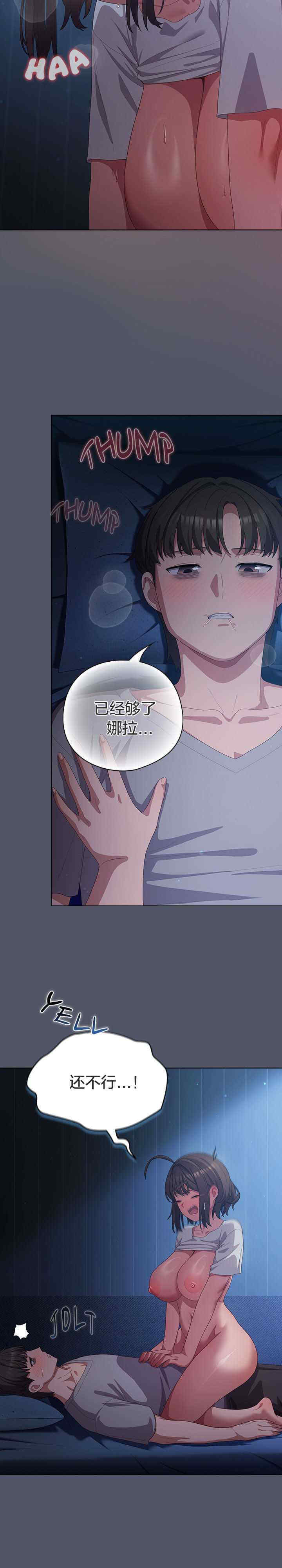 猫猫牵红线/喵来的恋爱