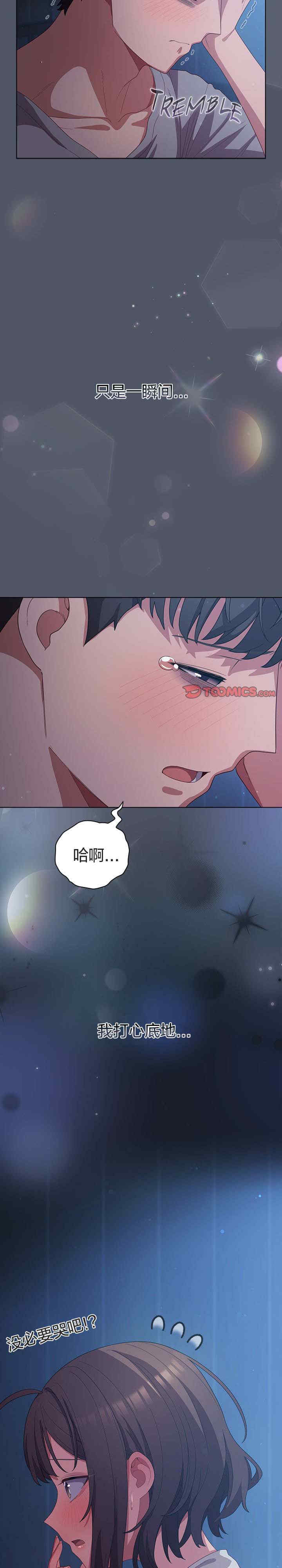 猫猫牵红线/喵来的恋爱